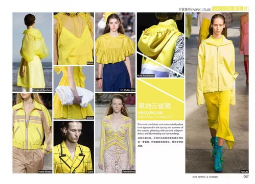 时装色彩与色彩企划 从形式美学到实践指南